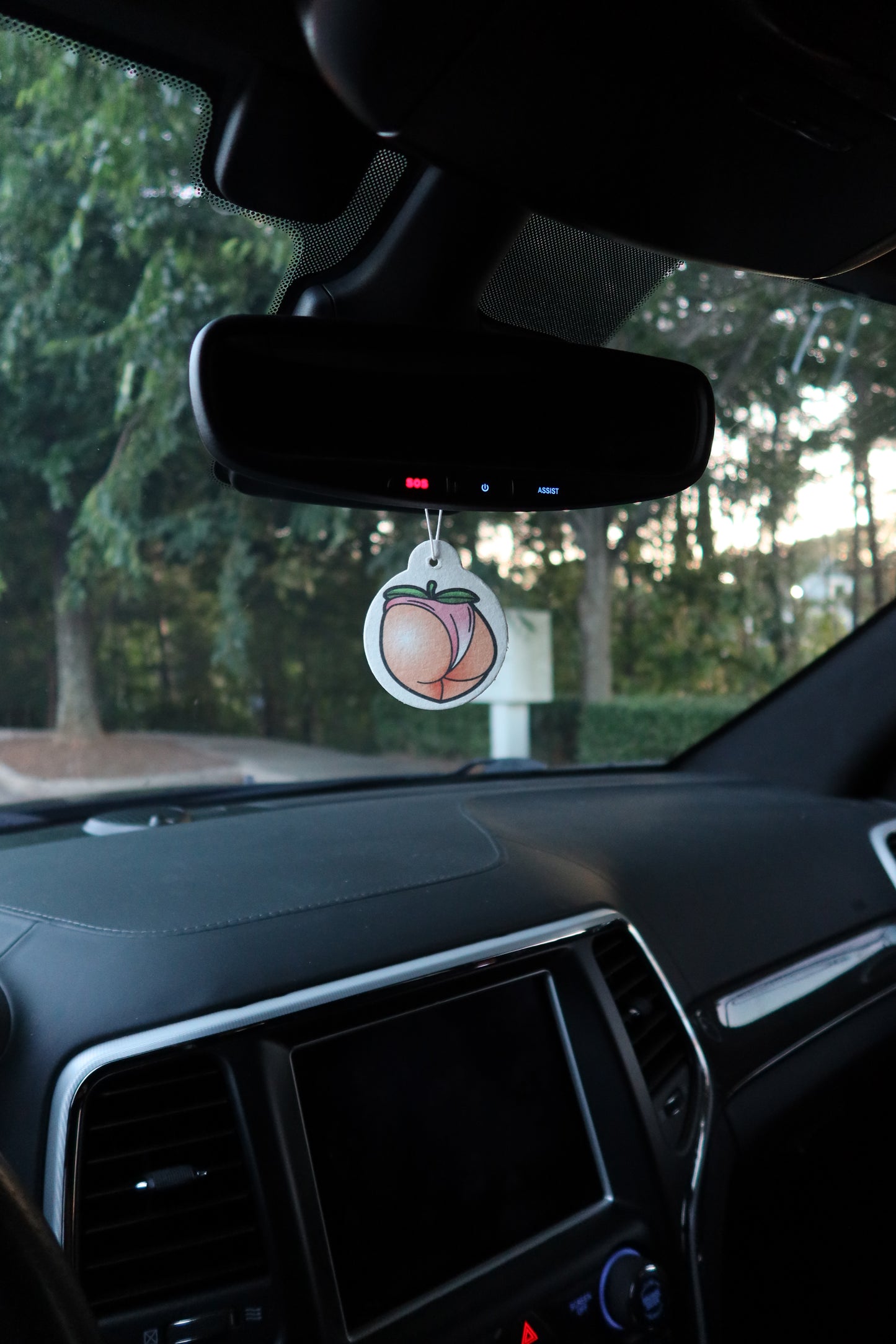 BOGO "Peachy" Air Freshener